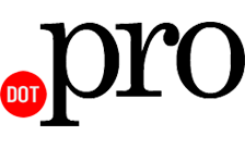 Логотип домена pro